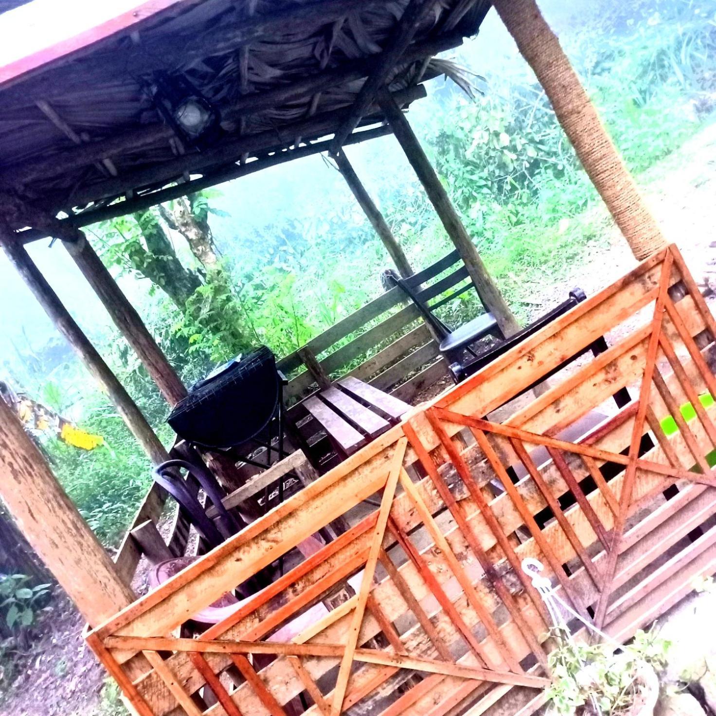 Ella Foret Accommodation エクステリア 写真