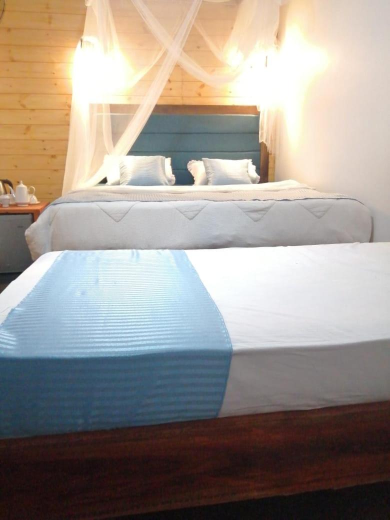 Ella Foret Accommodation エクステリア 写真