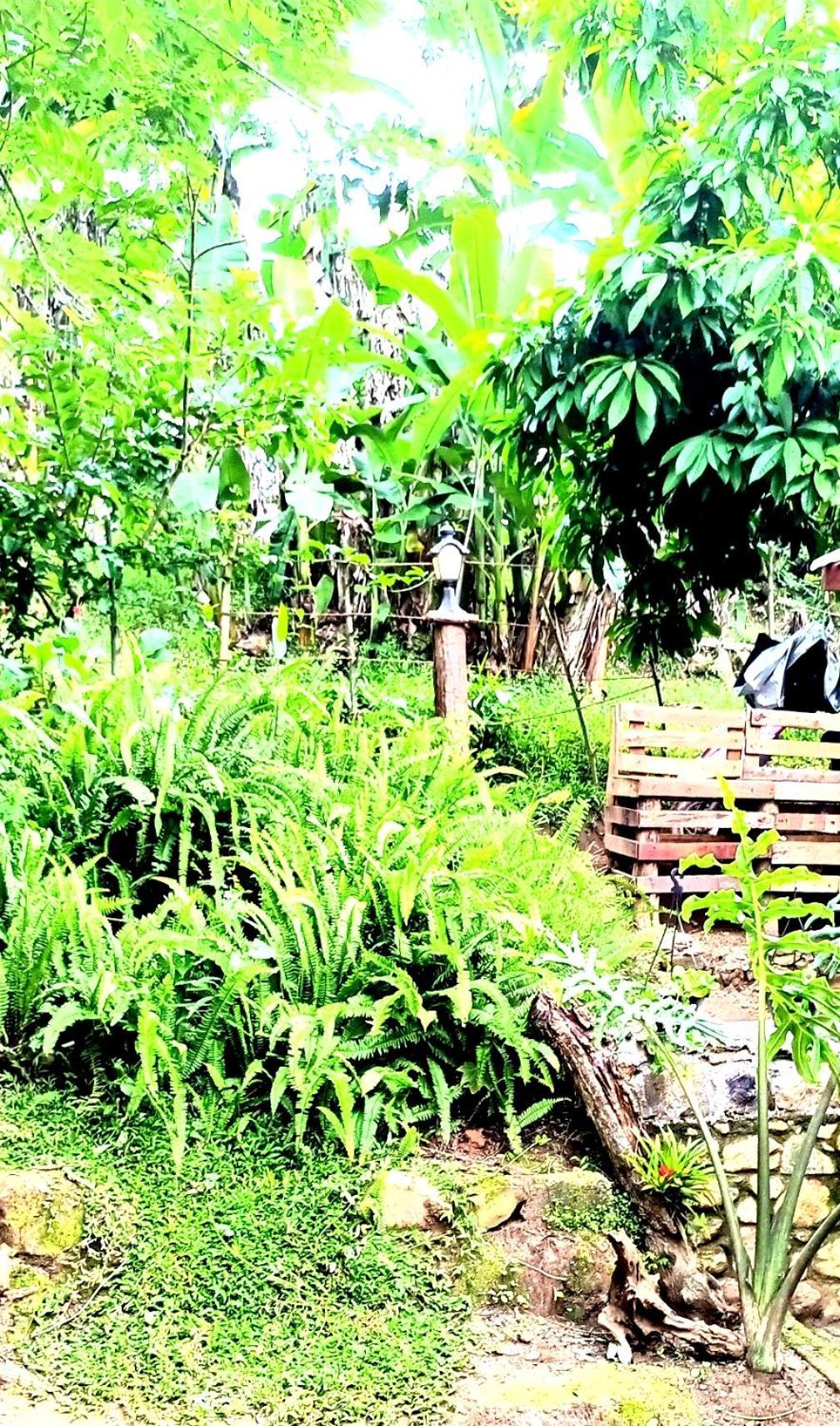 Ella Foret Accommodation エクステリア 写真